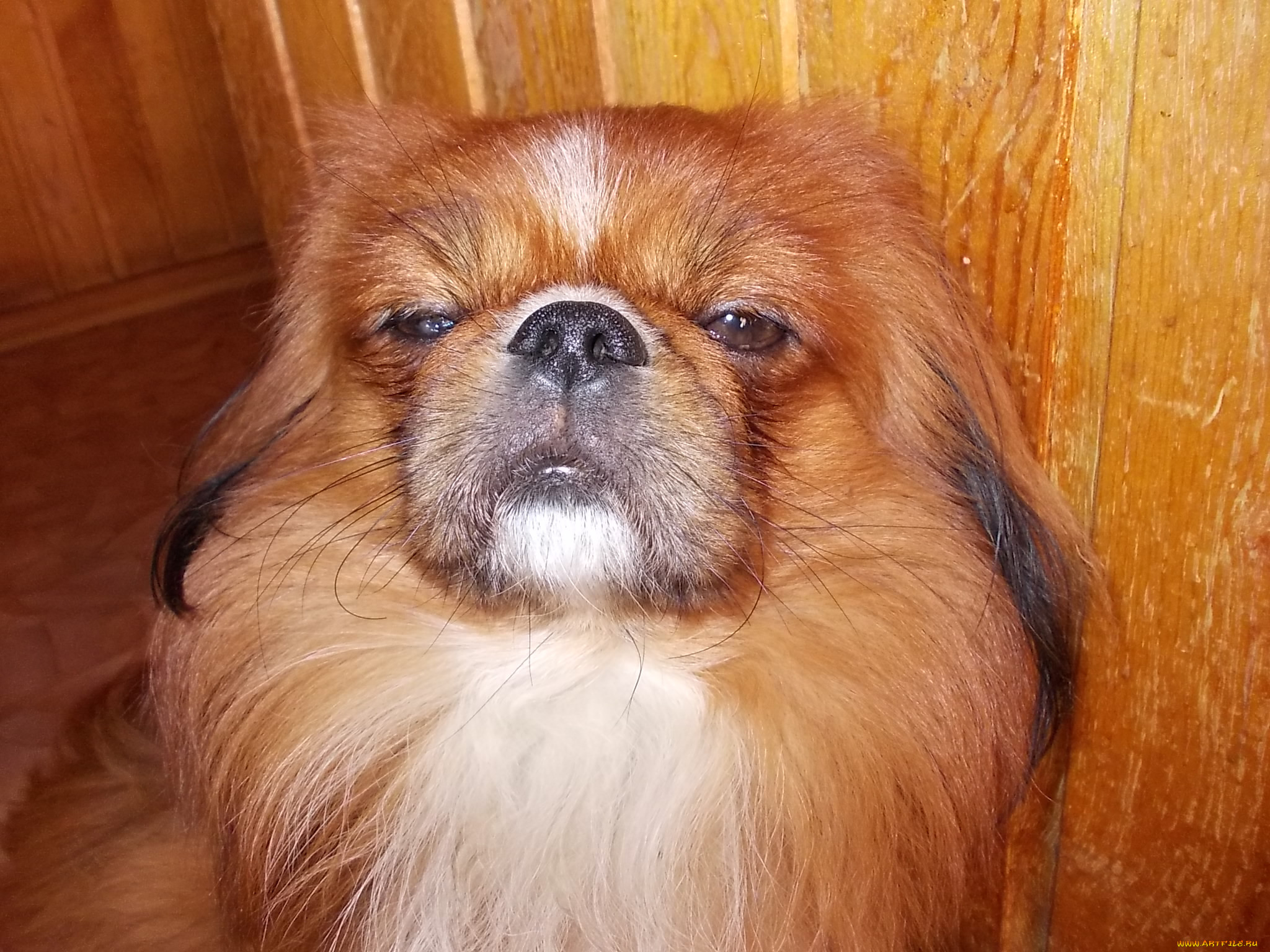 , , 